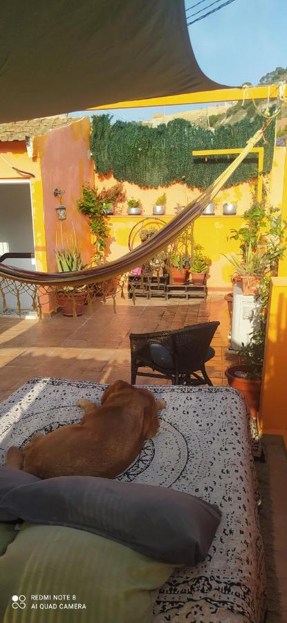 La Casita De Celia Alicante Exterior foto